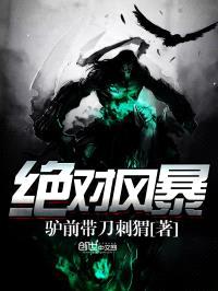 绝对风暴封面