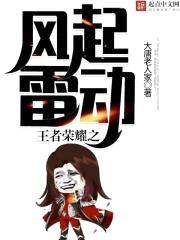 王者荣耀之风起雷动封面