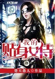 我的贴身女侍封面