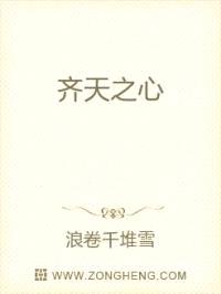 齐天之心封面