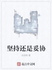 坚持还是妥协封面