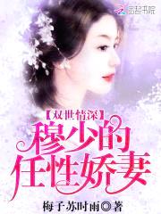 双世情深：穆少的任性娇妻封面