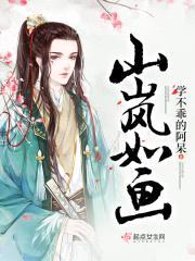 山岚如画封面