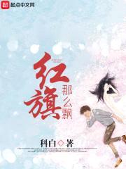 红旗那么飘封面