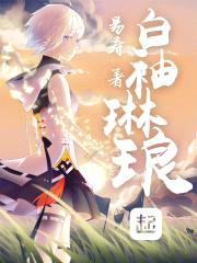 白袖琳琅封面
