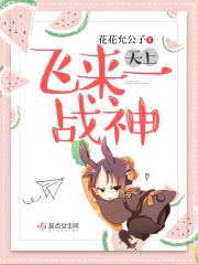 天上飞来一战神封面