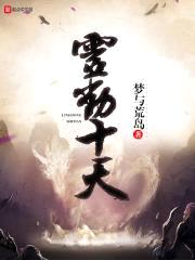 灵动十天封面