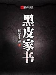 黑皮家书封面