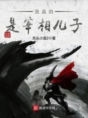 我真的是宰相儿子封面