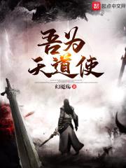 吾为天道使封面