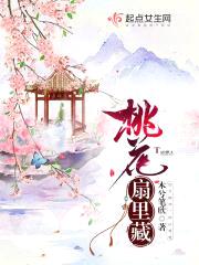 桃花扇里藏封面
