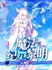 魔法纪元黎明封面