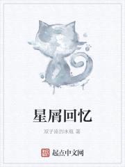 星屑回忆封面