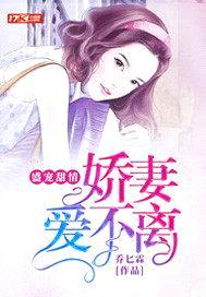 盛宠甜情：娇妻爱不离封面