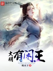 大明有闲王封面