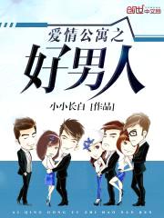 爱情公寓之好男人封面