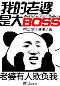 我的老婆是大BOSS封面