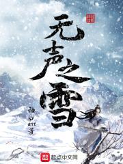 无声之雪封面