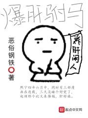 爆肝驸马封面