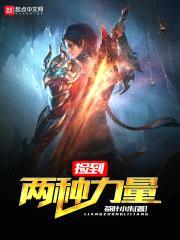 捡到两种力量封面
