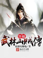 穿越武林山贼传封面