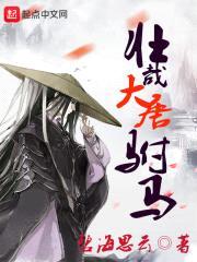 壮哉大唐驸马封面