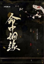 命中姻缘封面