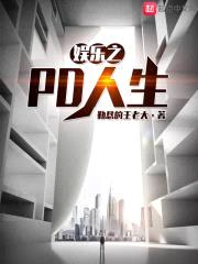 娱乐之PD人生封面