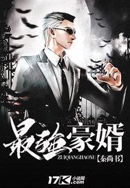 最强豪婿封面