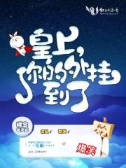 皇上，你的外挂到了封面