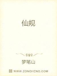 仙规封面