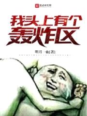 我头上有个轰炸区封面