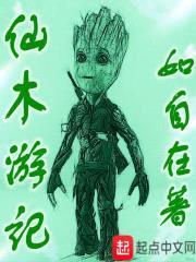 仙木游记封面