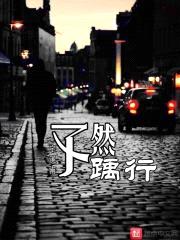 孓然踽行封面