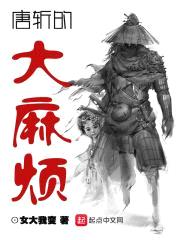 唐斩的大麻烦封面