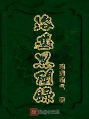 洛基异闻录封面