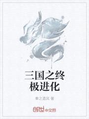 三国之终极进化封面