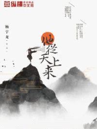 他从天上来封面