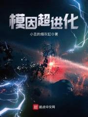 模因超进化封面