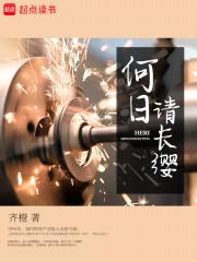 何日请长缨封面
