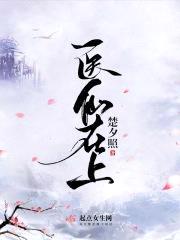 医仙在上封面