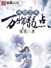 我能看见万物弱点封面