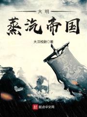 大明蒸汽帝国封面