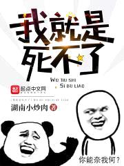 我就是死不了封面