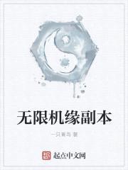 无限机缘副本封面