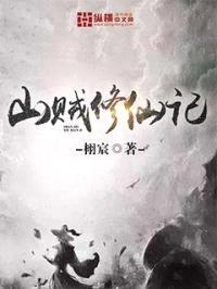 山贼修仙记封面