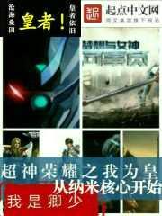 时空皇者之翼皇初世封面
