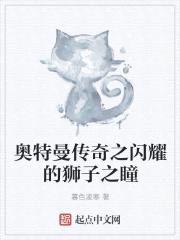奥特曼传奇之闪耀的狮子之瞳封面