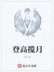 登高揽月封面