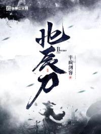 北辰刀封面